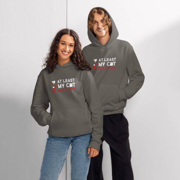 Meow & Always" Valentine Cat Hoodie! - Image 6