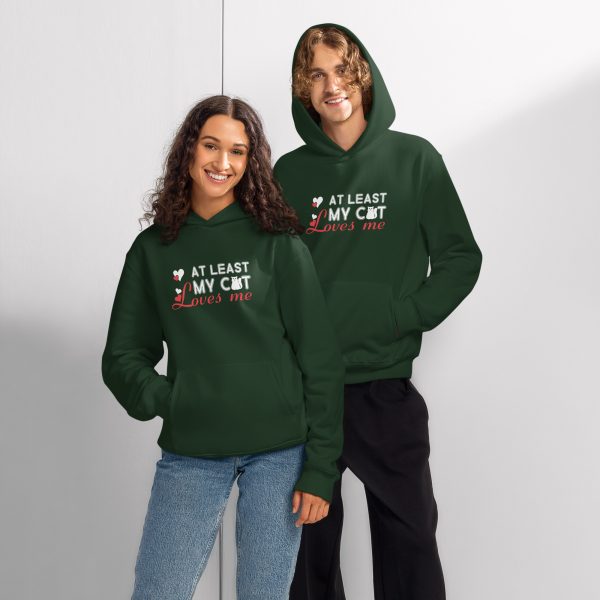 Meow & Always" Valentine Cat Hoodie! - Image 5